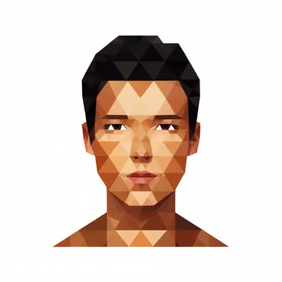 Minimalist Triangle Portrait