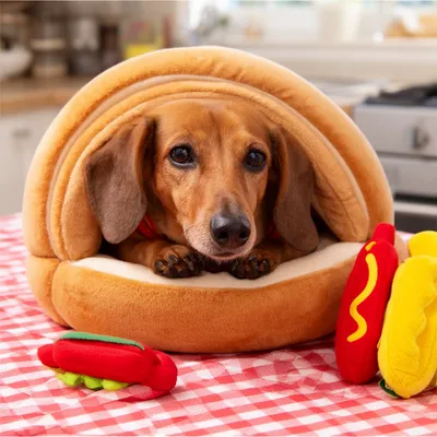 Wiener Dog Delight