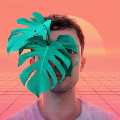Vaporwave Monstera Man